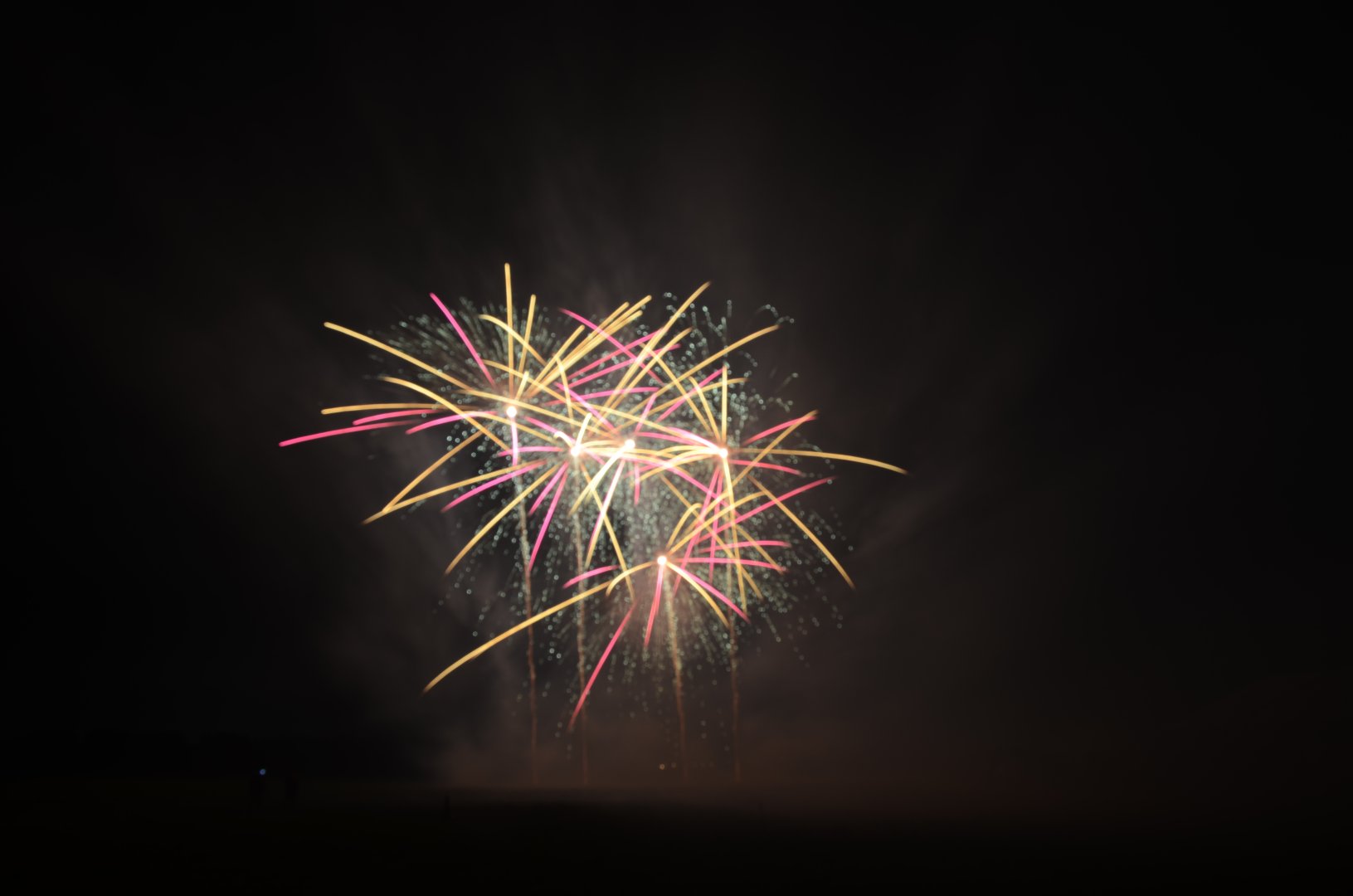 DSC_8880.JPG