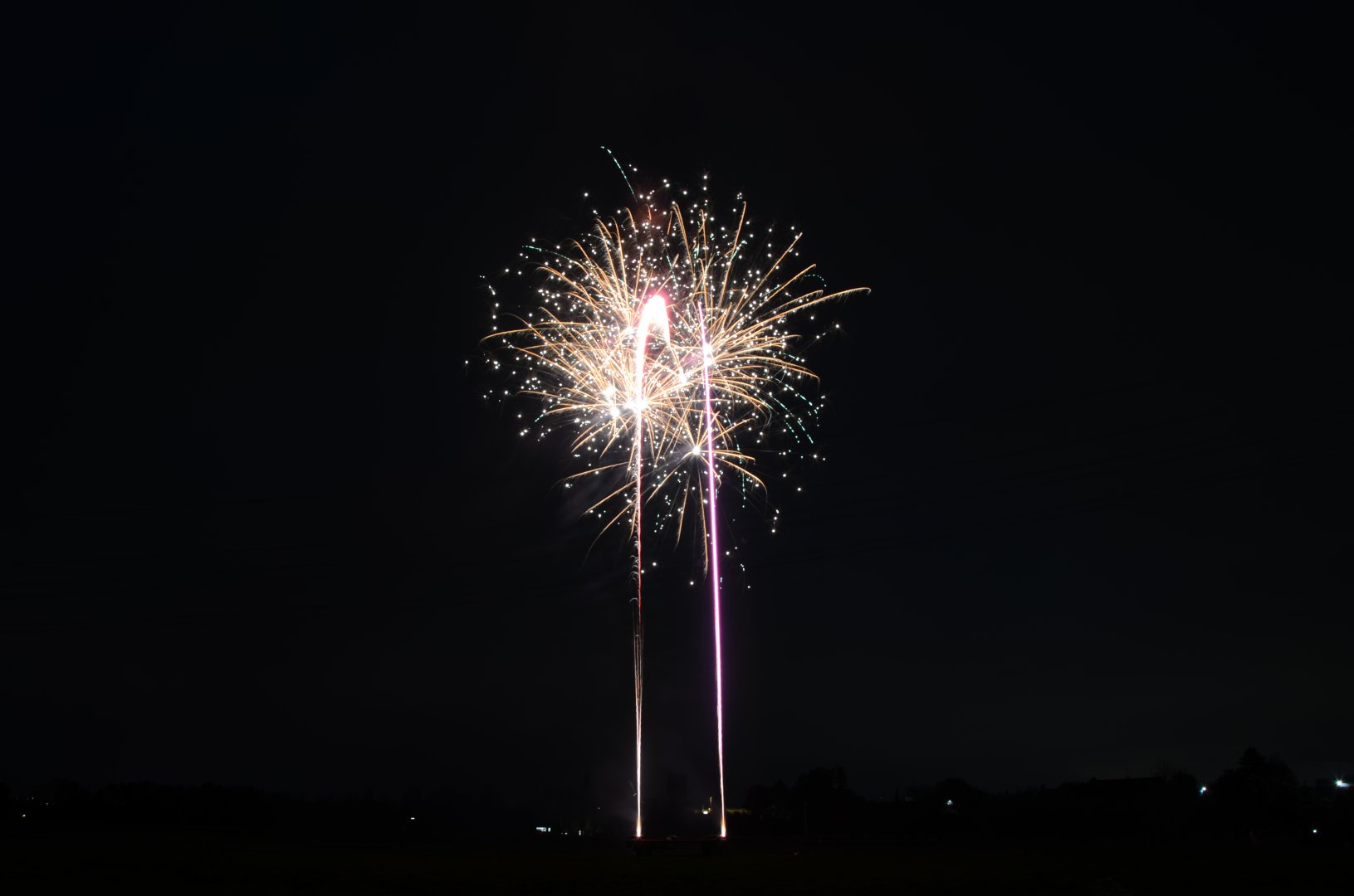 DSC_8971.JPG