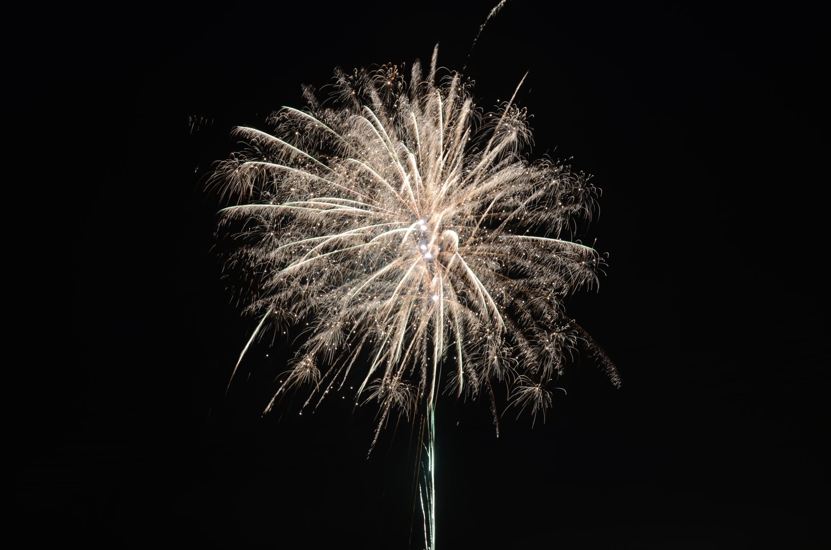 DSC_9008.JPG