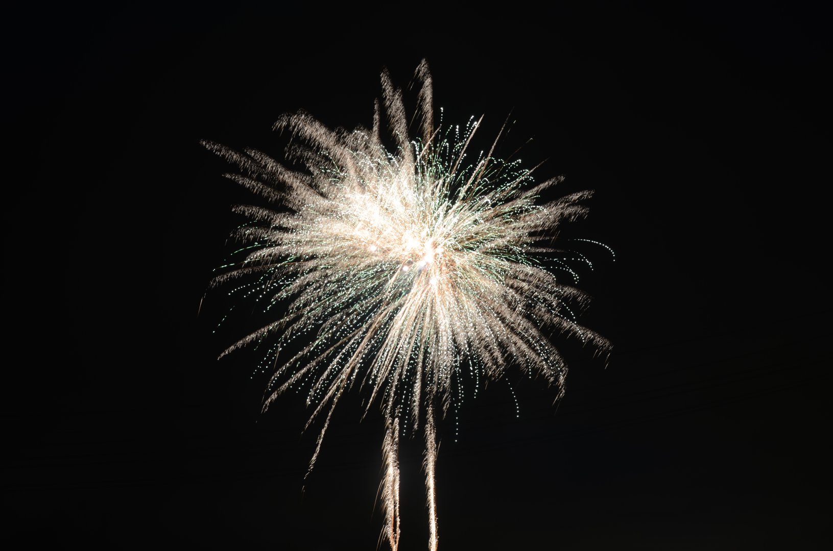 DSC_9009.JPG