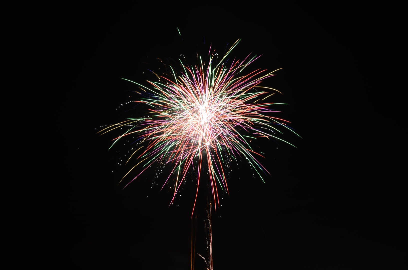 DSC_9021.JPG