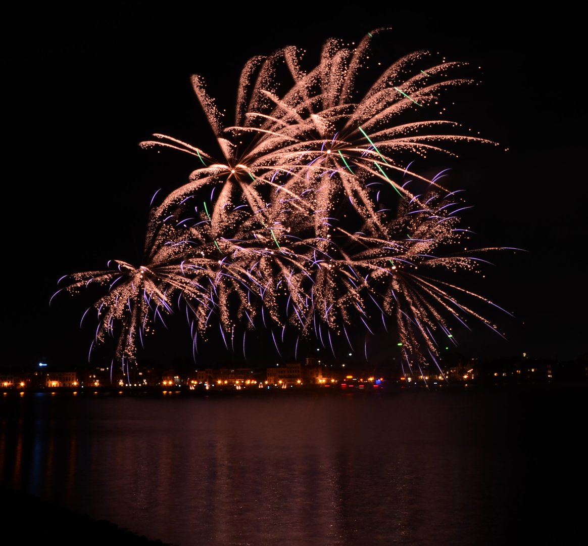 DSC_9118.JPG