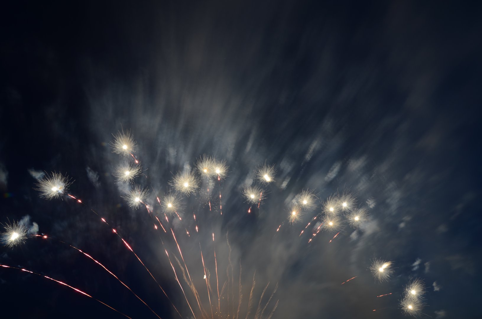 DSC_9561.JPG