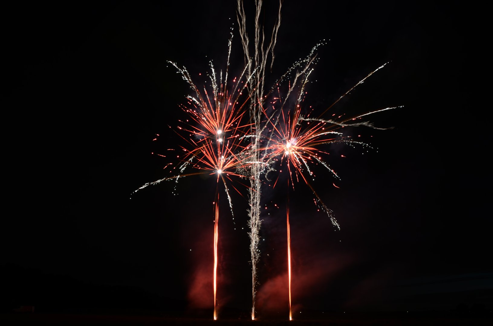 DSC_9833.JPG