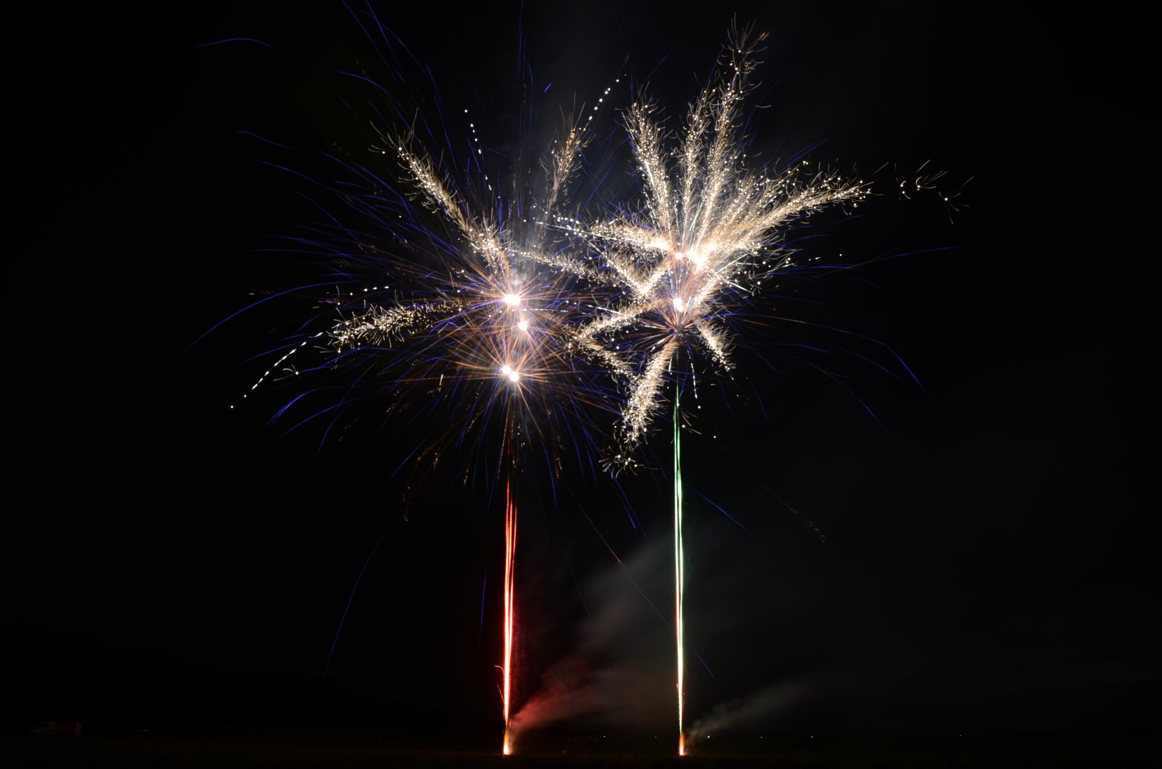DSC_9844.JPG