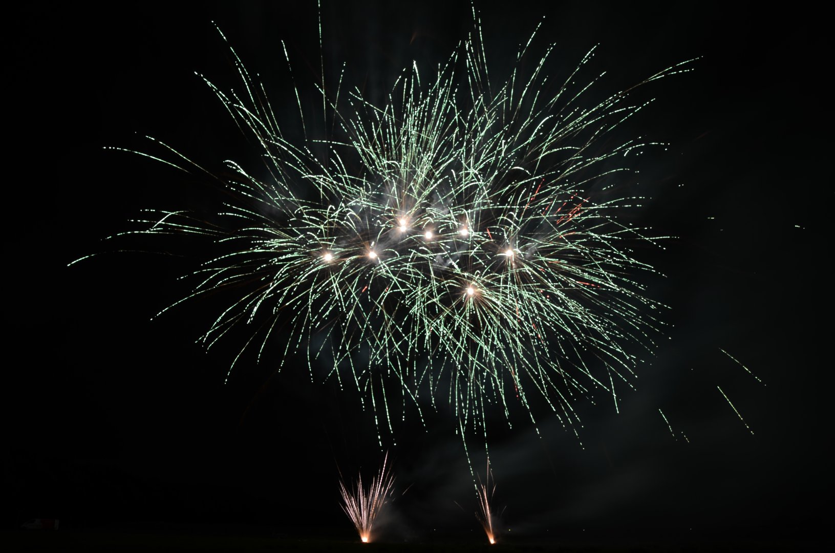 DSC_9919.JPG